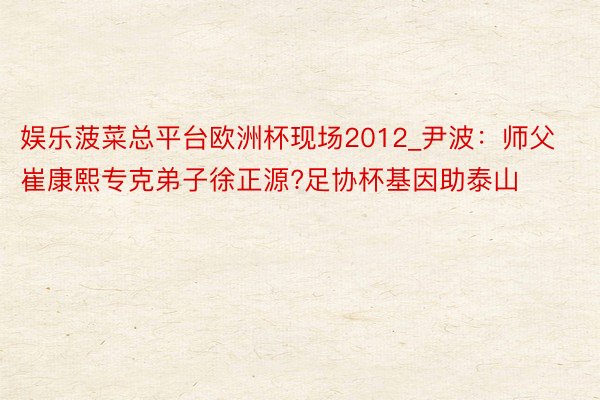 娱乐菠菜总平台欧洲杯现场2012_尹波：师父崔康熙专克弟子徐正源?足协杯基因助泰山